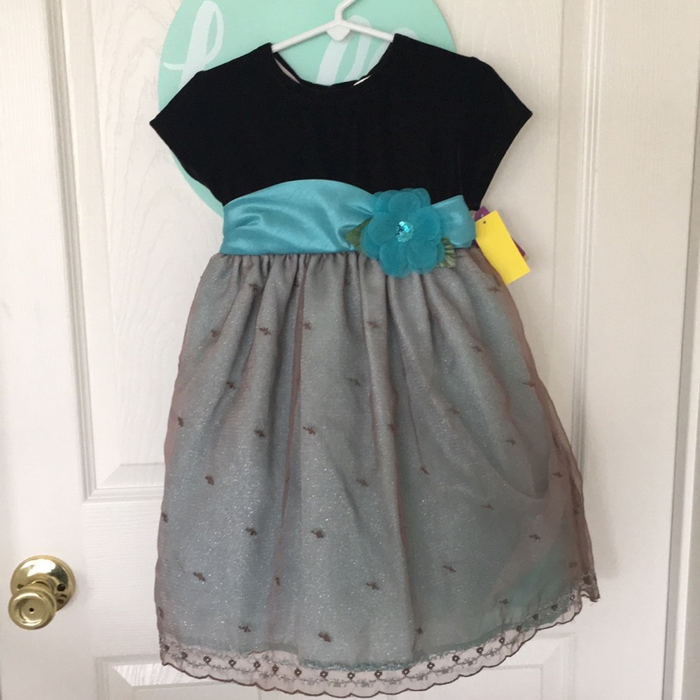 BLUEBERI boulevard toddler dress size 4
